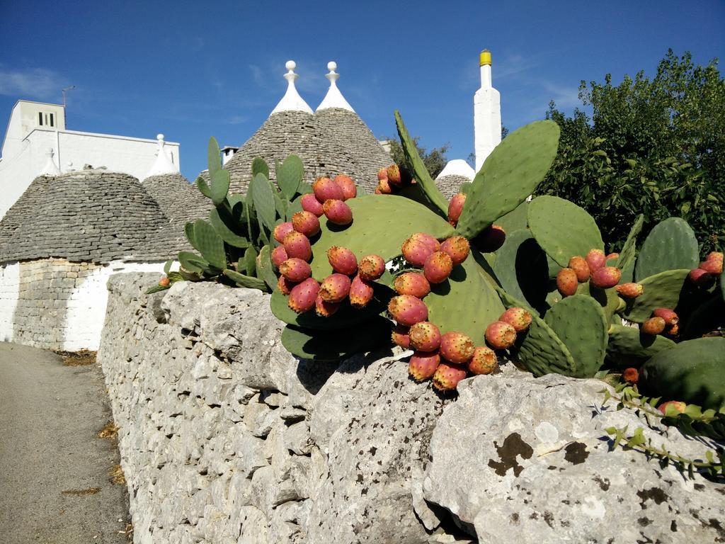 Bed & Breakfast La Collinetta Locorotondo Kültér fotó